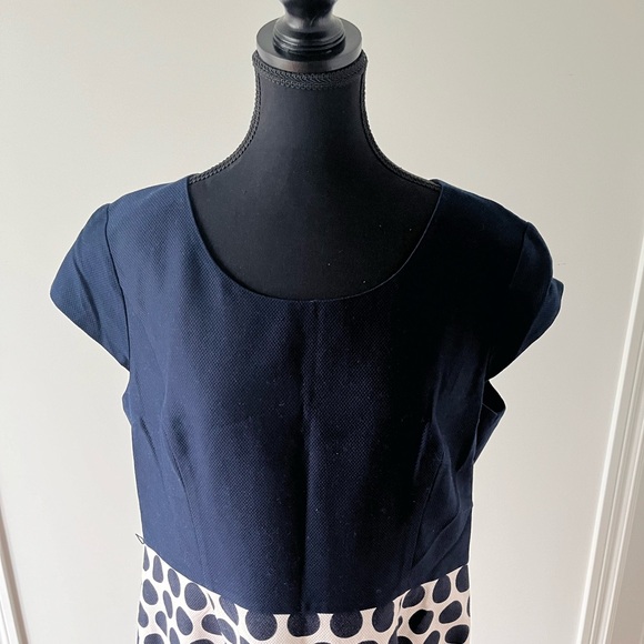 PRECIS Petites Casual Polka Dot Dress - Picture 3 of 8